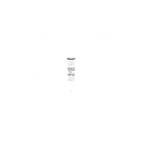 DNA Denaturing Buffer, 1 ml